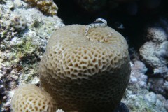 p1060149