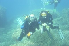 t_menorca_d3427