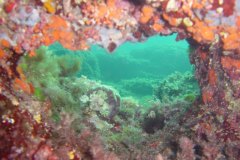 u_menorca_d3480