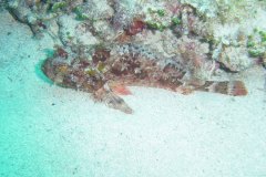 u_menorca_d3494