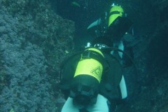 v_menorca_d3461