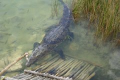 mexico_b4749