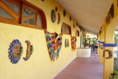 mexico_d2537