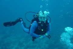t_mexico_d2341