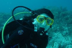 t_mexico_d2351
