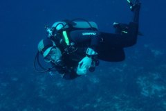 t_mexico_d2449