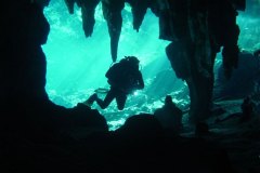 t_mexico_d2618