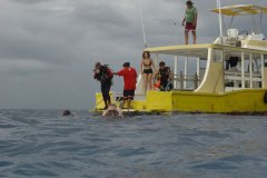 u_mexico_d2459