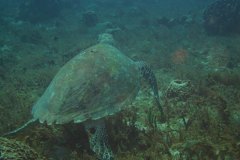 u_mexico_p0124