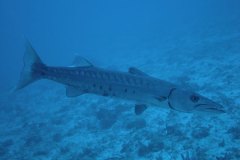u_mexico_p0254