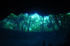 uc_mexico_d2408