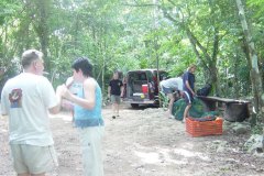 uc_mexico_d2409