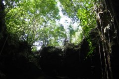 uc_mexico_d2430