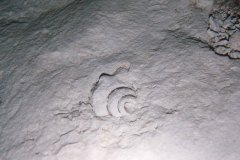 uc_mexico_k2035