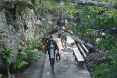uc_mexico_k2407