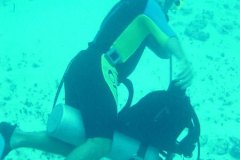 v_mexico_d2485