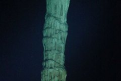 v_mexico_k2120