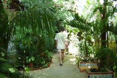 v_mexico_s0107