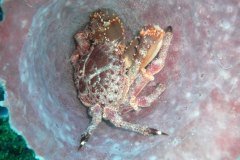 mexiko_10_p1040642