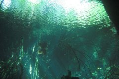 mexiko_10c_img_0105