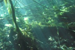 mexiko_10c_img_0109