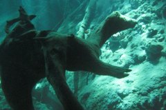mexiko_10c_img_0112