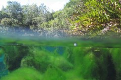 mexiko_10c_img_0132