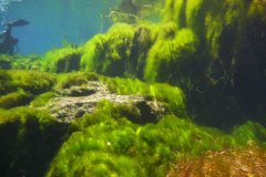 mexiko_10c_p1040812