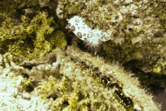 p1050776