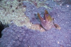 p1050832