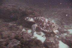 p1050837