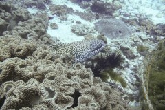 p1050861