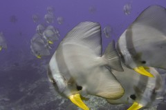 p1050866