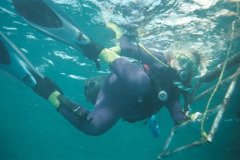 t_safaga01_19