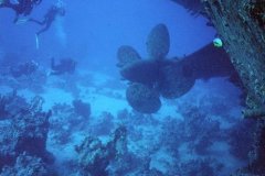 t_safaga01_38
