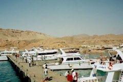 a2_sharm02_120