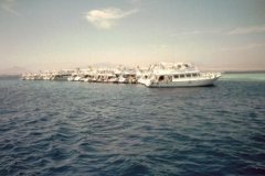 m_sharm02_70