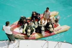 o_sharm02_123