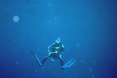 t_sharm02_01
