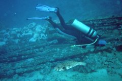 t_sharm02_08