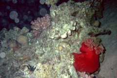 u_sharm02_27