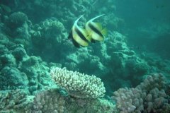 u_sharm02_32