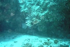 u_sharm02_88