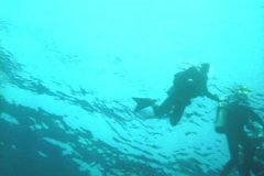 v_sharm02_83