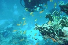 v_sharm02_90