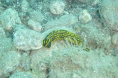 teneriffa_03_09