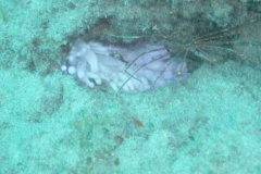 teneriffa_03_10