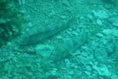 teneriffa_03_12