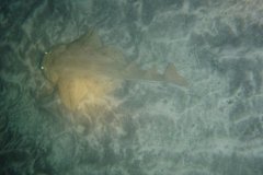 teneriffa_03_15