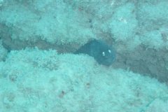 teneriffa_03_19